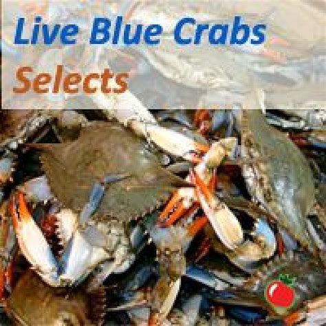 rdc live crabs and marine products